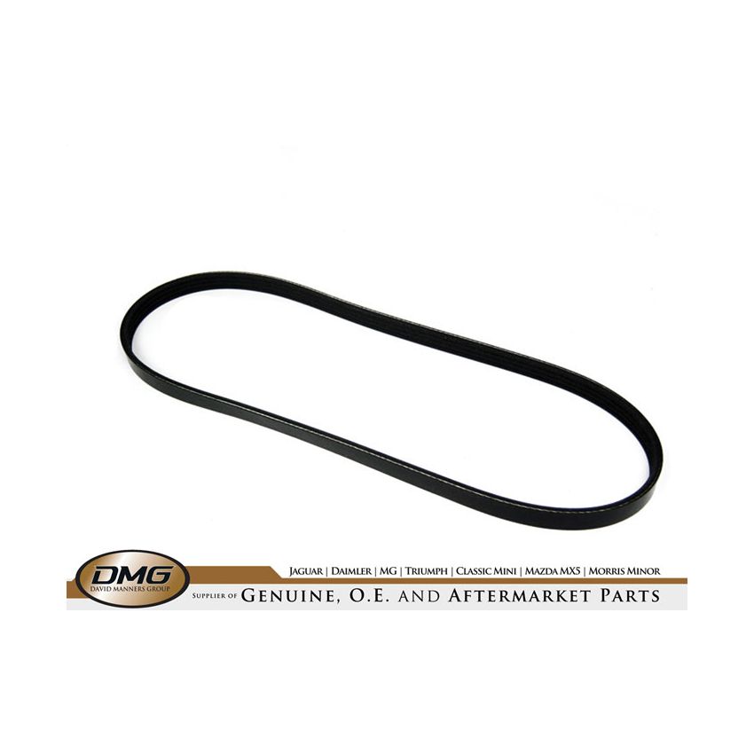 ALTERNATOR BELT:  XJ12, XJS V12 5.3L