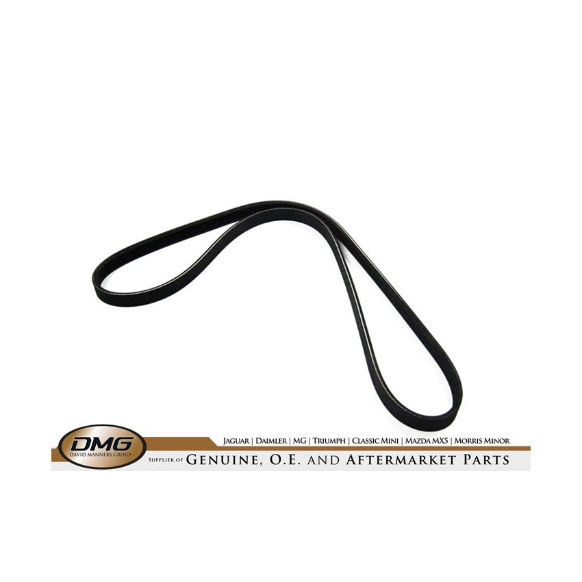 WATER PUMP BELT:  XJ12 6L V12