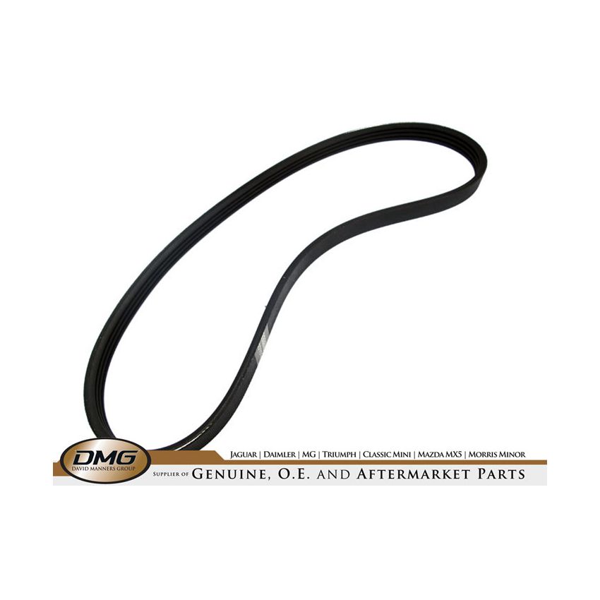 ENGINE DRIVE BELT (735MM):  X-TYPE