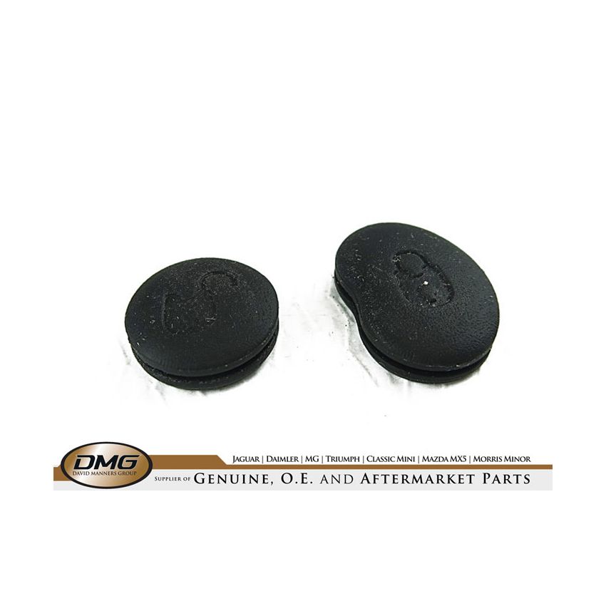 TRANSMITTER BUTTON KIT:  XJ, X300