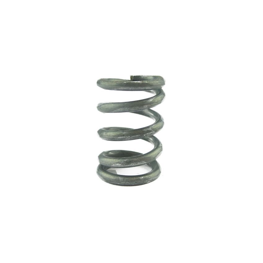 COMPRESSION SPRING:  XK8, XJS, XJ6, XJ12