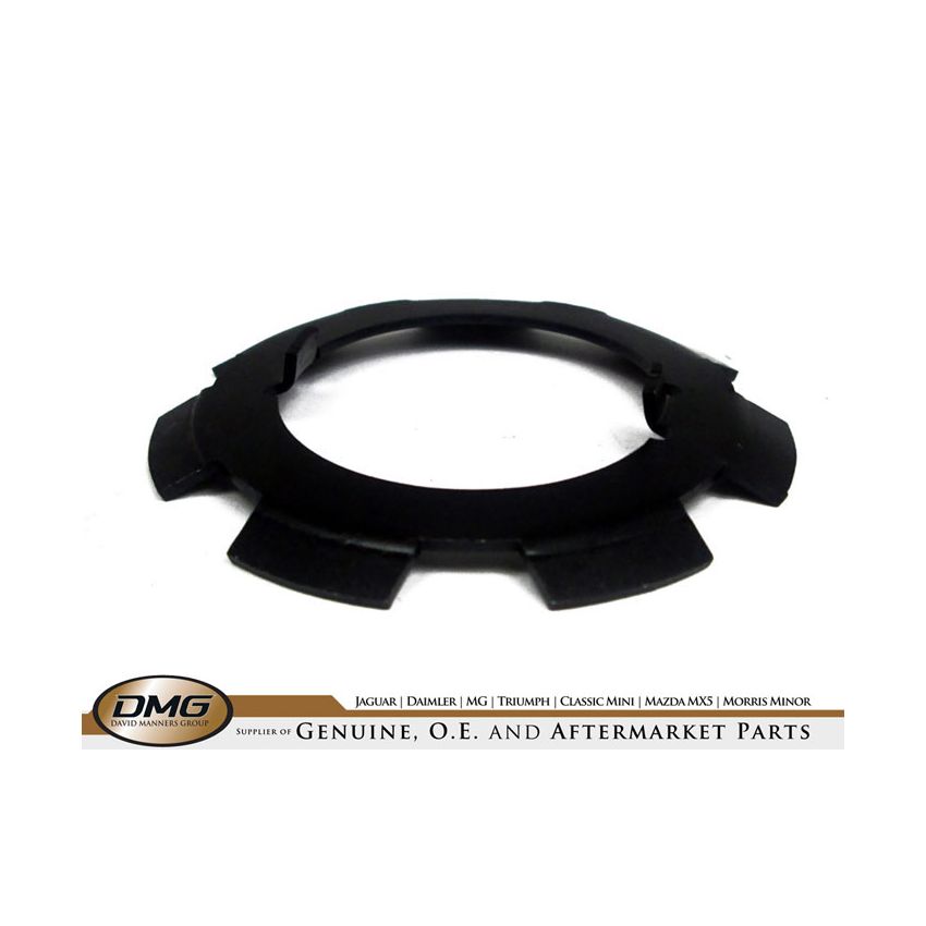DIFFERENTIAL LOCKWASHER:  ALL I.R.S.MODELS