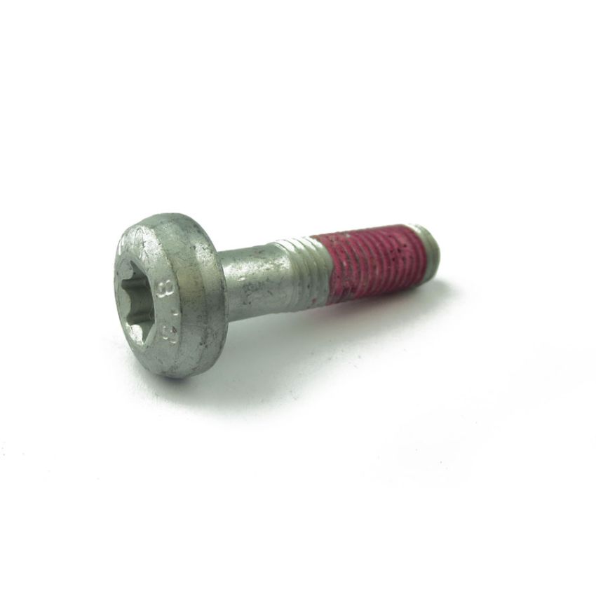 TORX SCREW:  X308