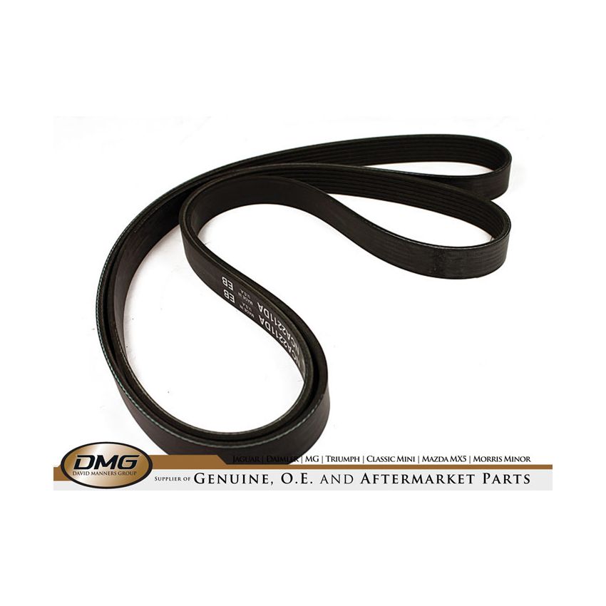 DRIVE BELT:  XJ8 02> XK8 00-02