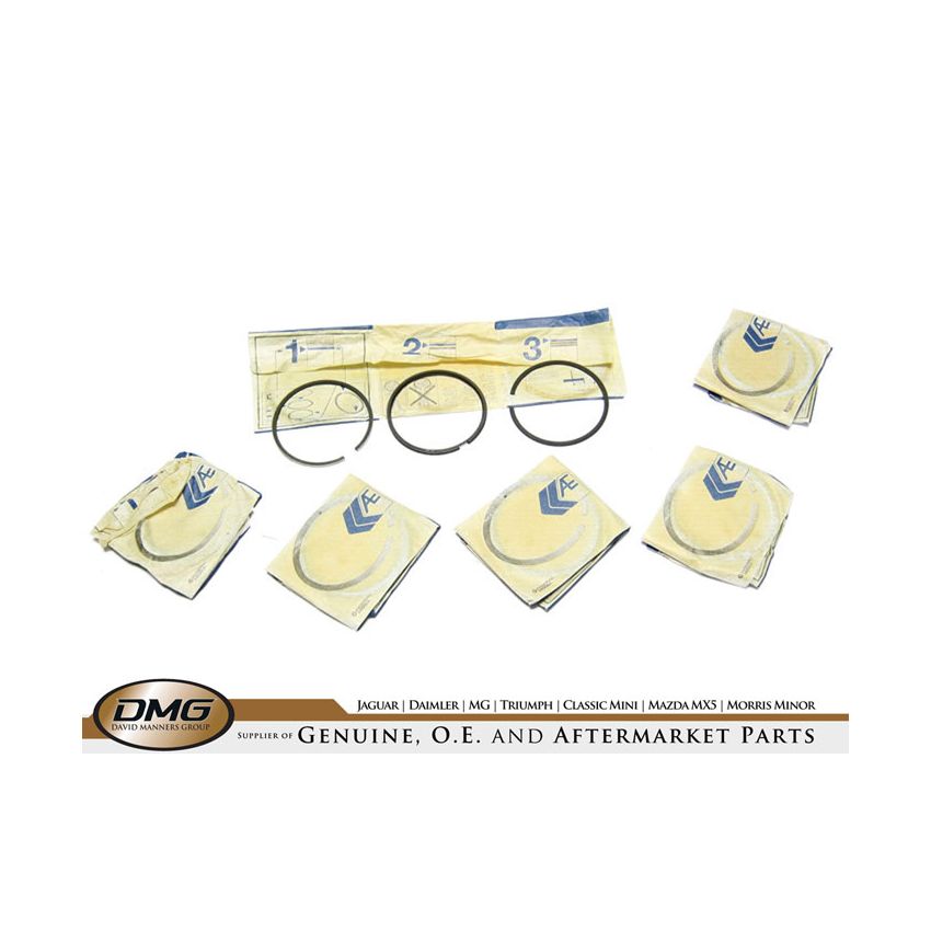 PISTON RING SET (6) +20:  4.2 ENGINE