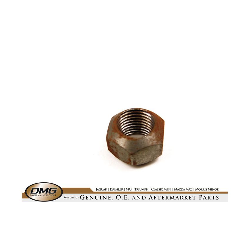 HUB NUT (SPECIAL):  DART