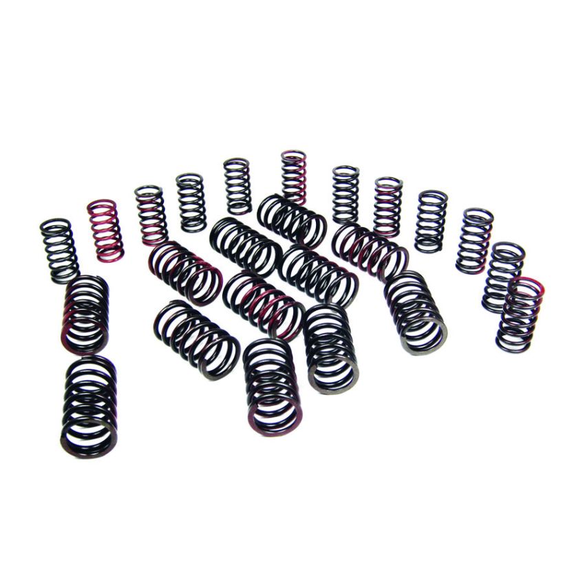 VALVE SPRING SET:  6 CYL ENGINE