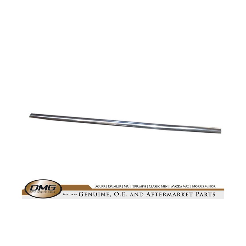 DOOR WAIST SEAL (BRIGHT FINISH):  S-TYPE