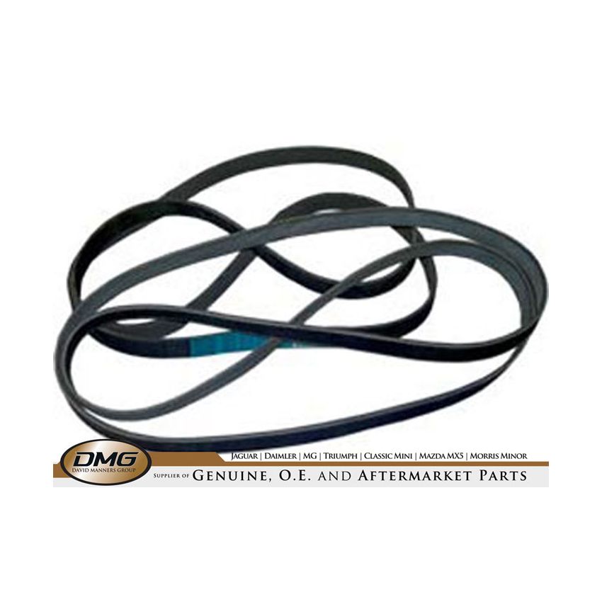 DRIVE BELT:  XJ8 02>  XK8 00-02
