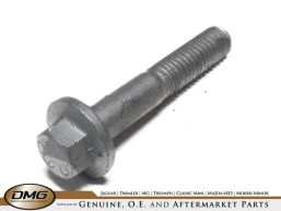 CHAIN TENSIONER BOLT VARIOUS