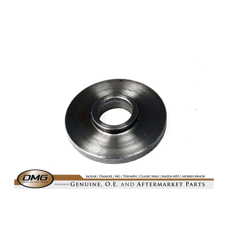 TRUNNION LOCKWASHER:  DART