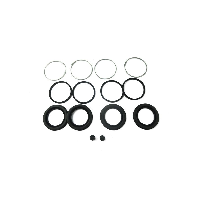 REAR CALIPER KIT:  DS420