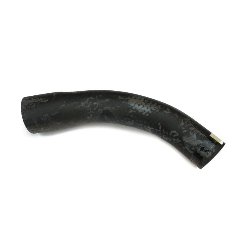 BOTTOM HOSE:  E-TYPE V12