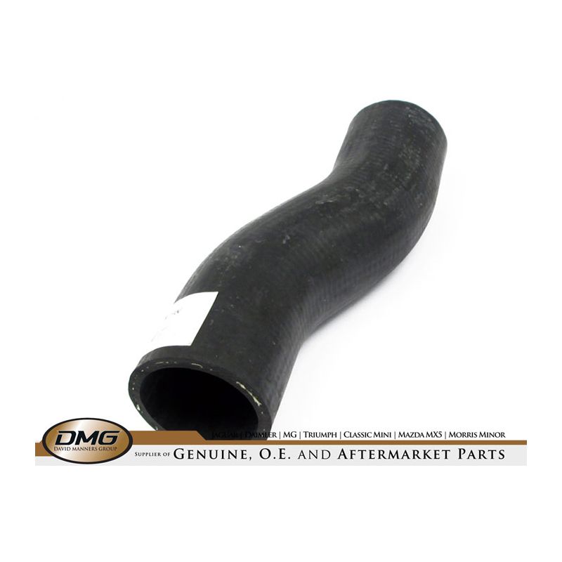 BOTTOM HOSE:  XK120