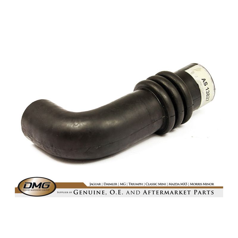 TOP HOSE:  XK120