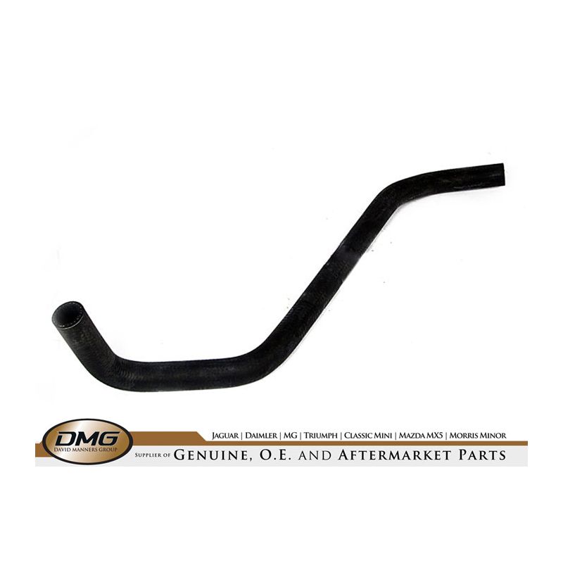 HOSE (WATER PUMP-HEADER TANK):  XJ40