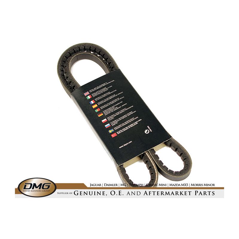 POWER STEERING BELT:  XJ6