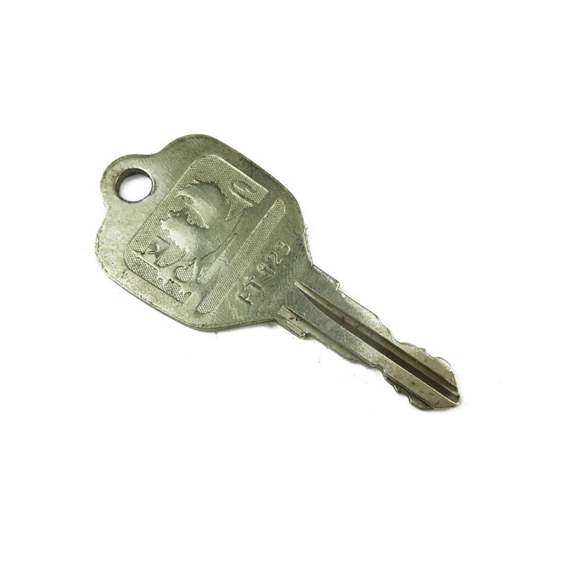 KEY:  MANY VEHICLES