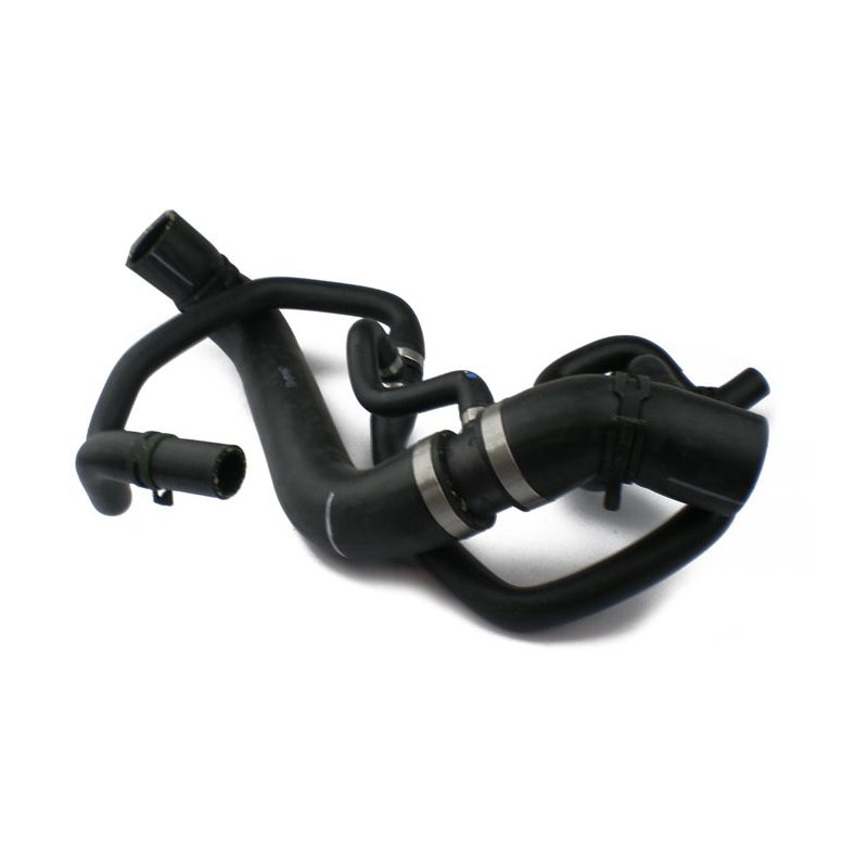 BOTTOM HOSE:  XK8