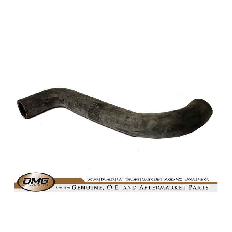 BOTTOM HOSE:  XJ8 1998 ON