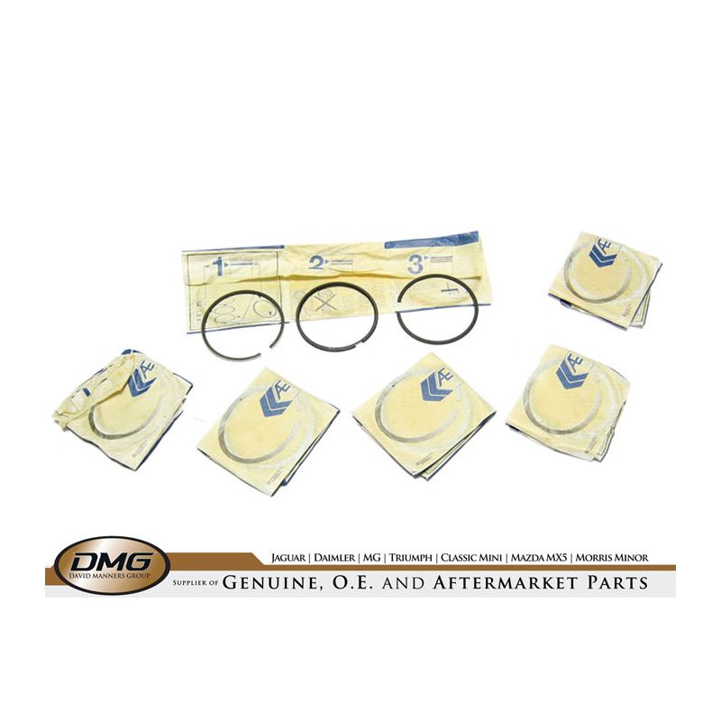 PISTON RING SET (6) +20:  4.2 ENGINE
