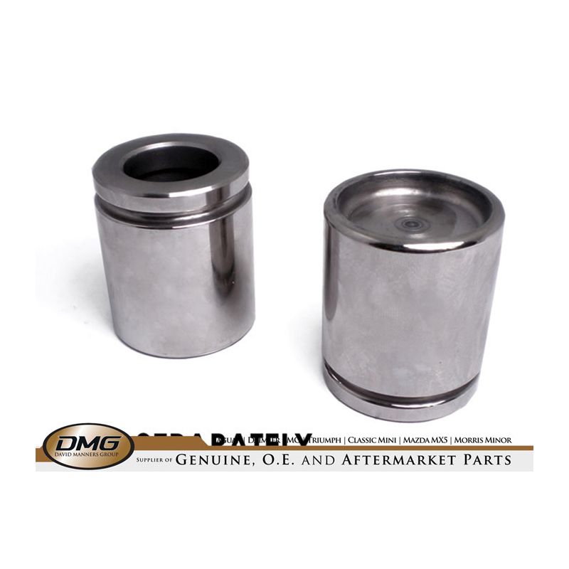 REAR CALIPER PISTON  JAGUAR XJ8, XK8 - TEVE03