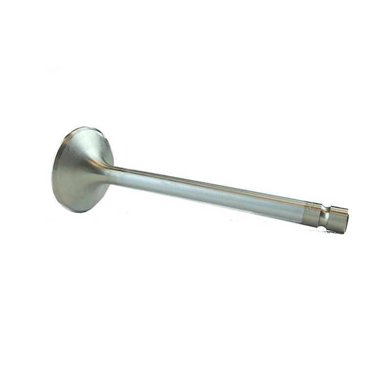 EXHAUST VALVE:  V8, DART