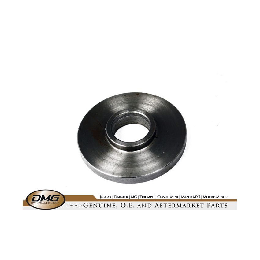 TRUNNION LOCKWASHER:  DART