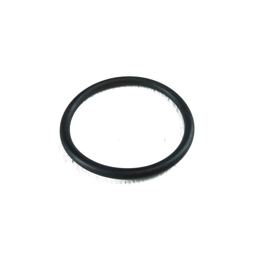 ROCKER COVER O-RING:  V8, DART