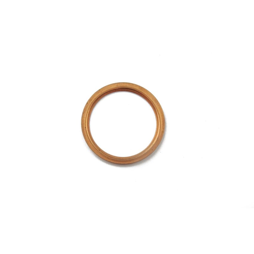 DRAIN PLUG WASHER:  DART