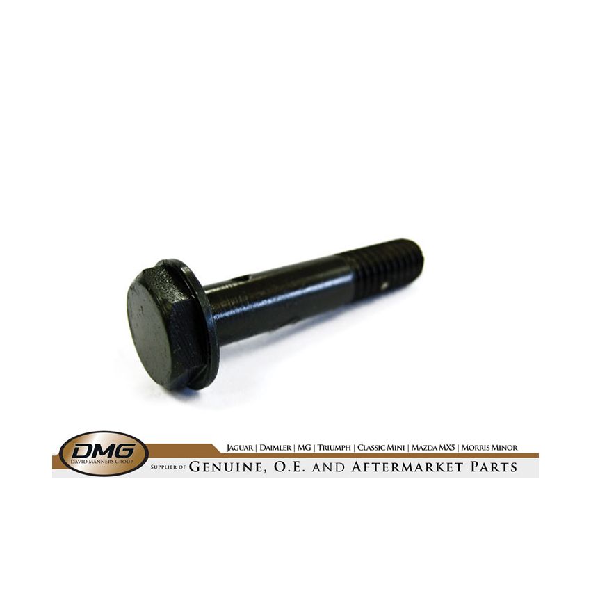 BANJO BOLT (LONG):  V8, DART