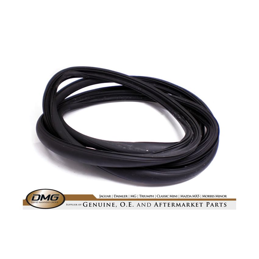 FRONT SCREEN RUBBER:  DS420