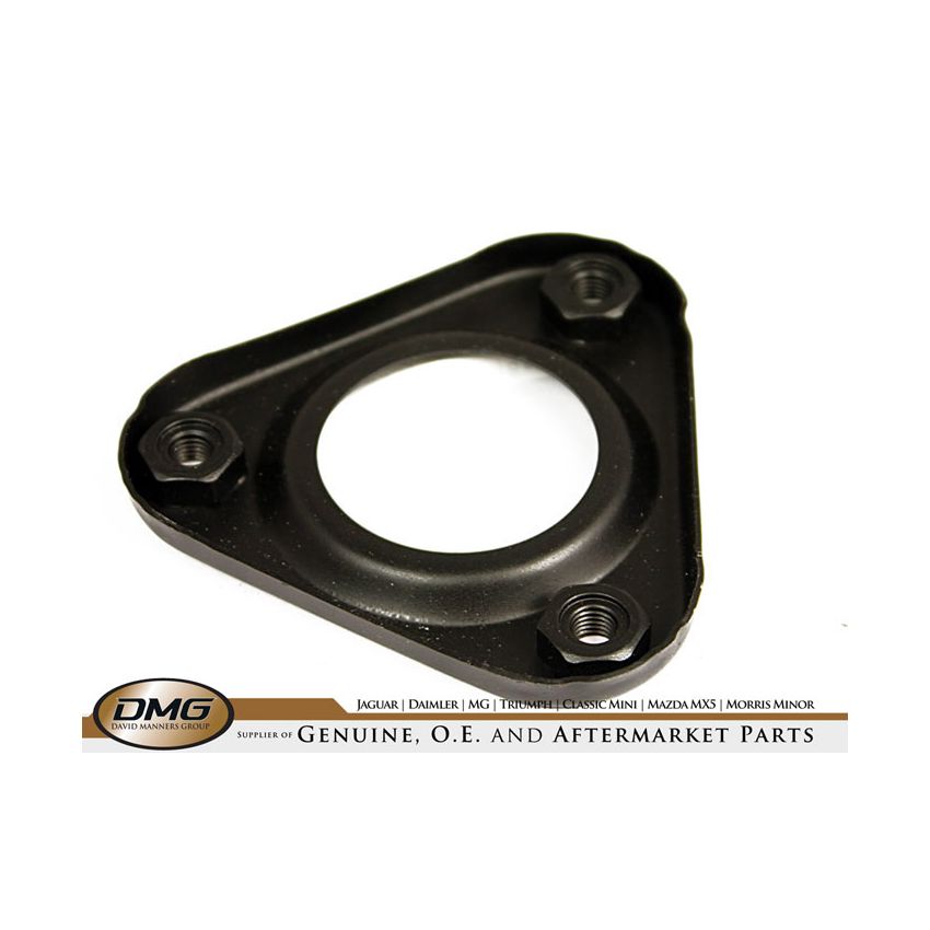 PLUG RETAINING PLATE:  E-TYPE