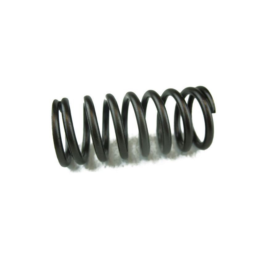 VALVE SPRING INNER:  V8, DART