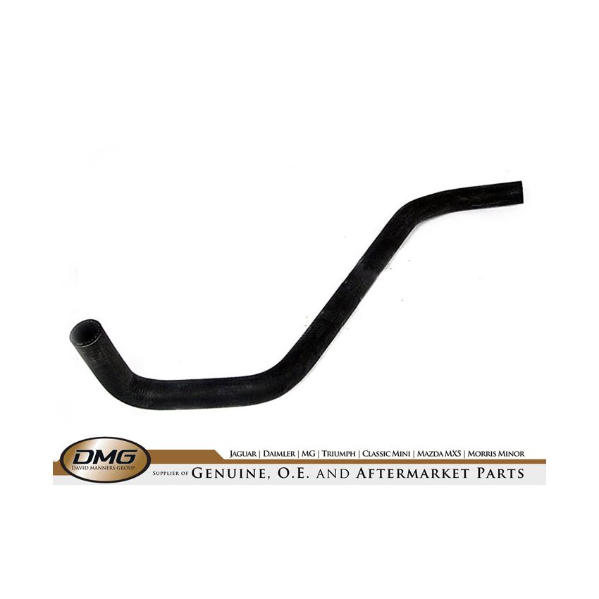 HOSE (WATER PUMP-HEADER TANK):  XJ40