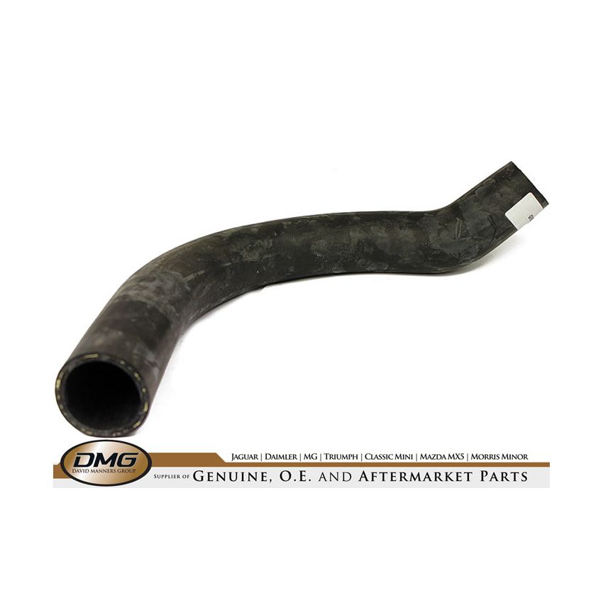 BOTTOM HOSE:  XJ40