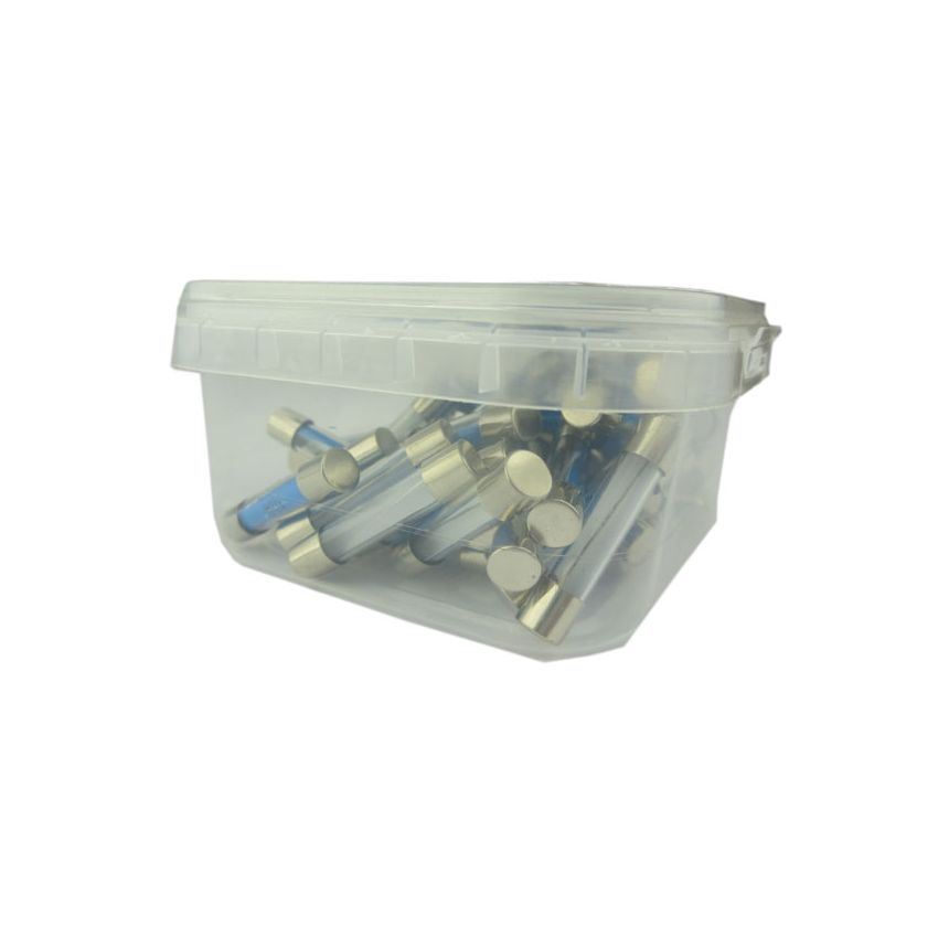 10 AMP GLASS-TYPE FUSES (PKT 50)