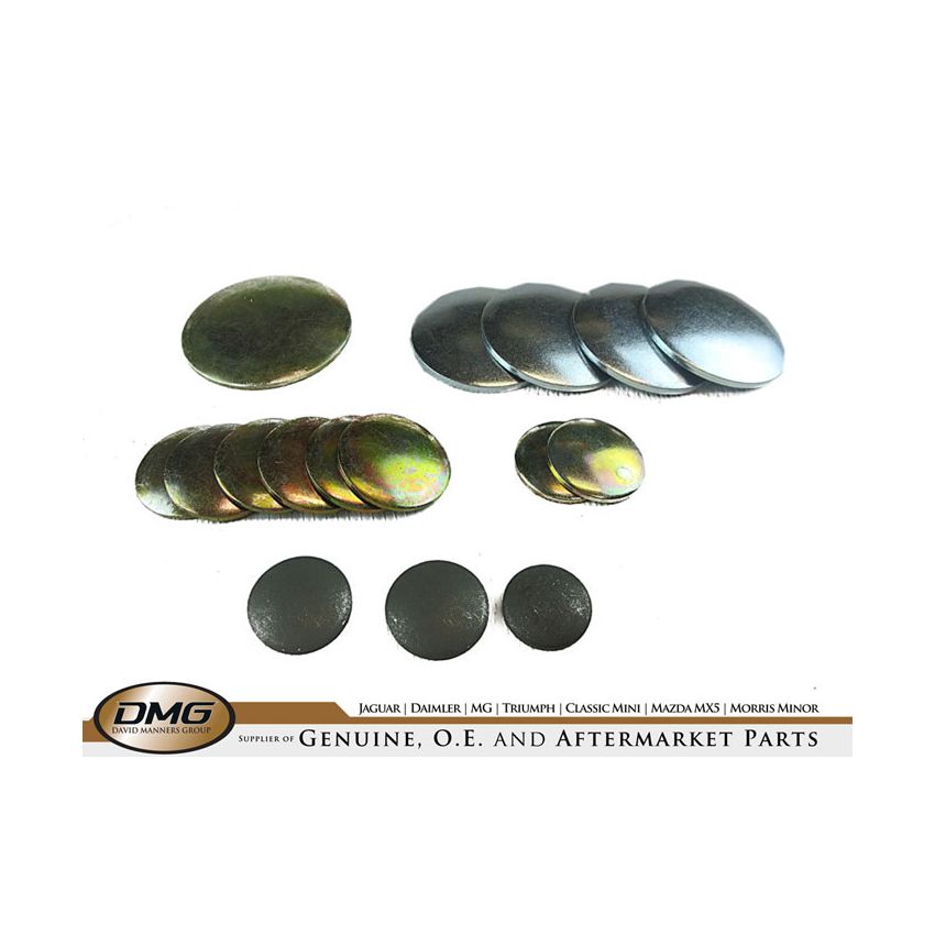 ENGINE CORE PLUG KIT:  V8, DART