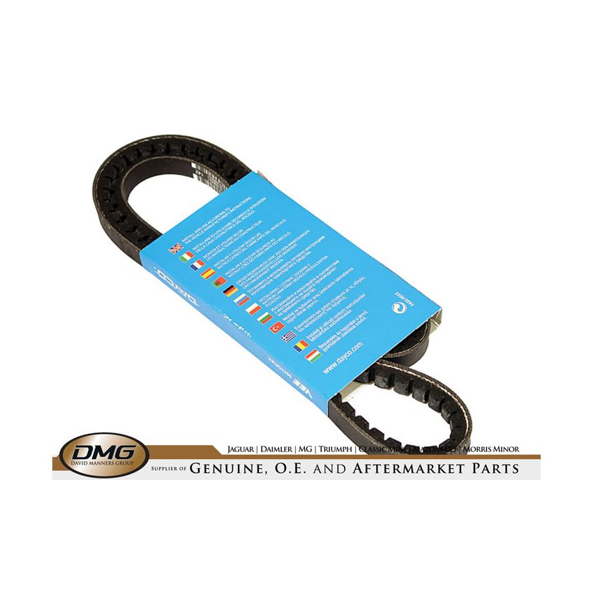 POWER STEERING BELT:  XJ12, XJS V12 5.3L