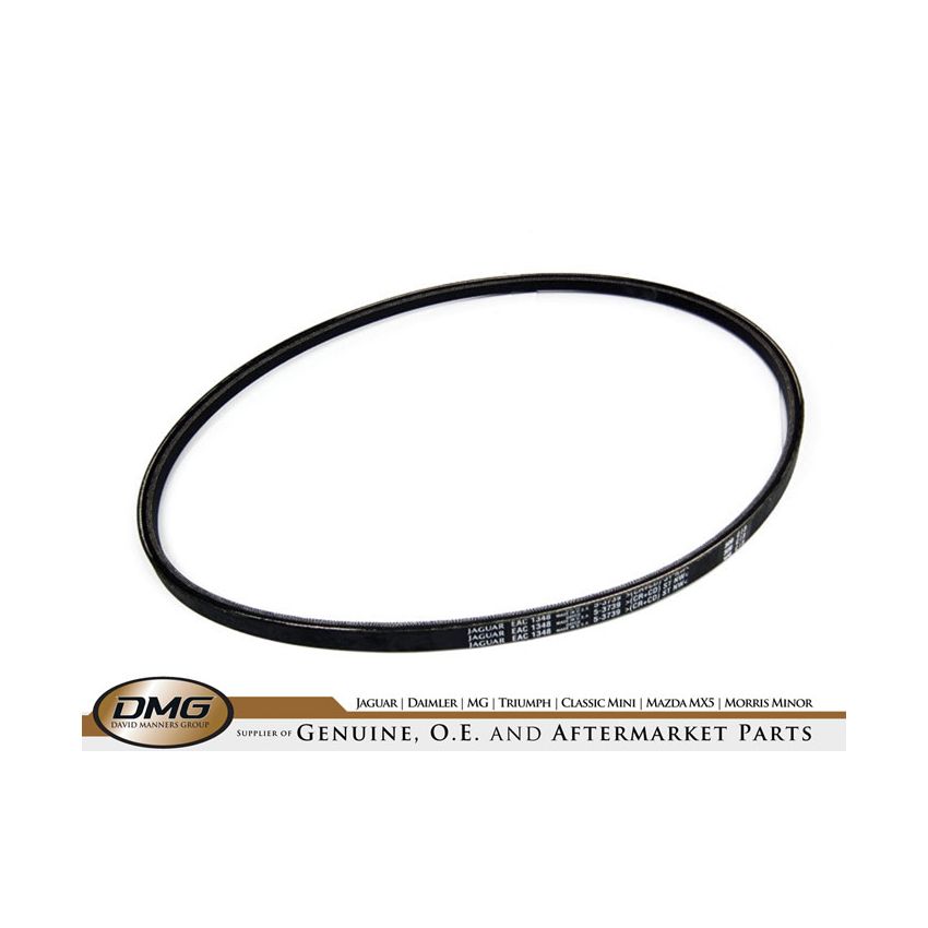 POWER STEERING BELT:  XJ6