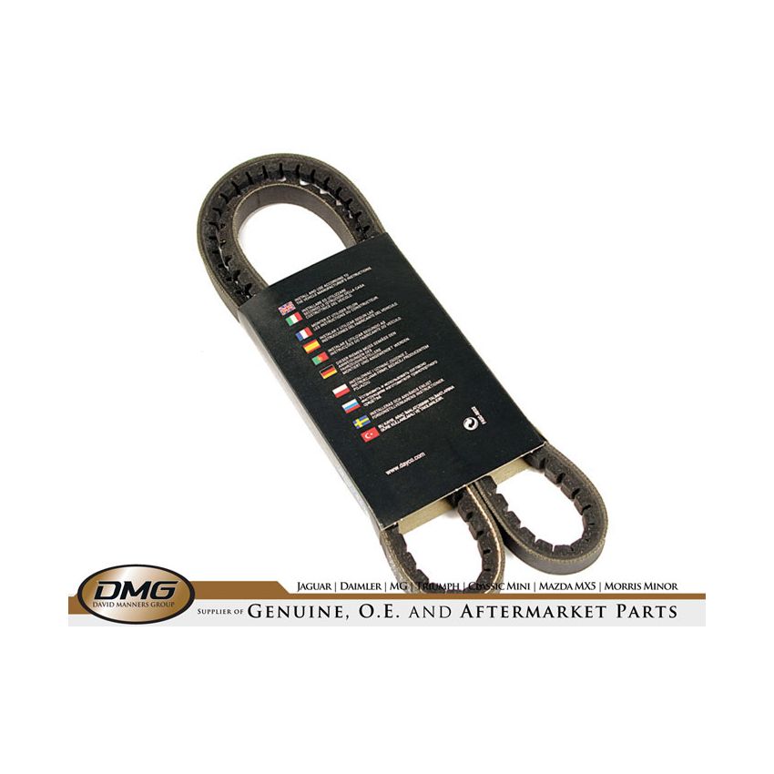 POWER STEERING BELT:  XJ6