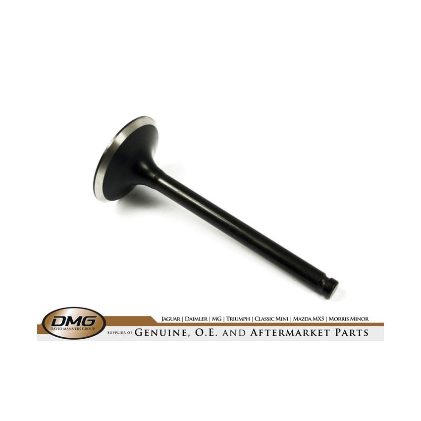 EXHAUST VALVE:  6 CYLINDER ENGINE