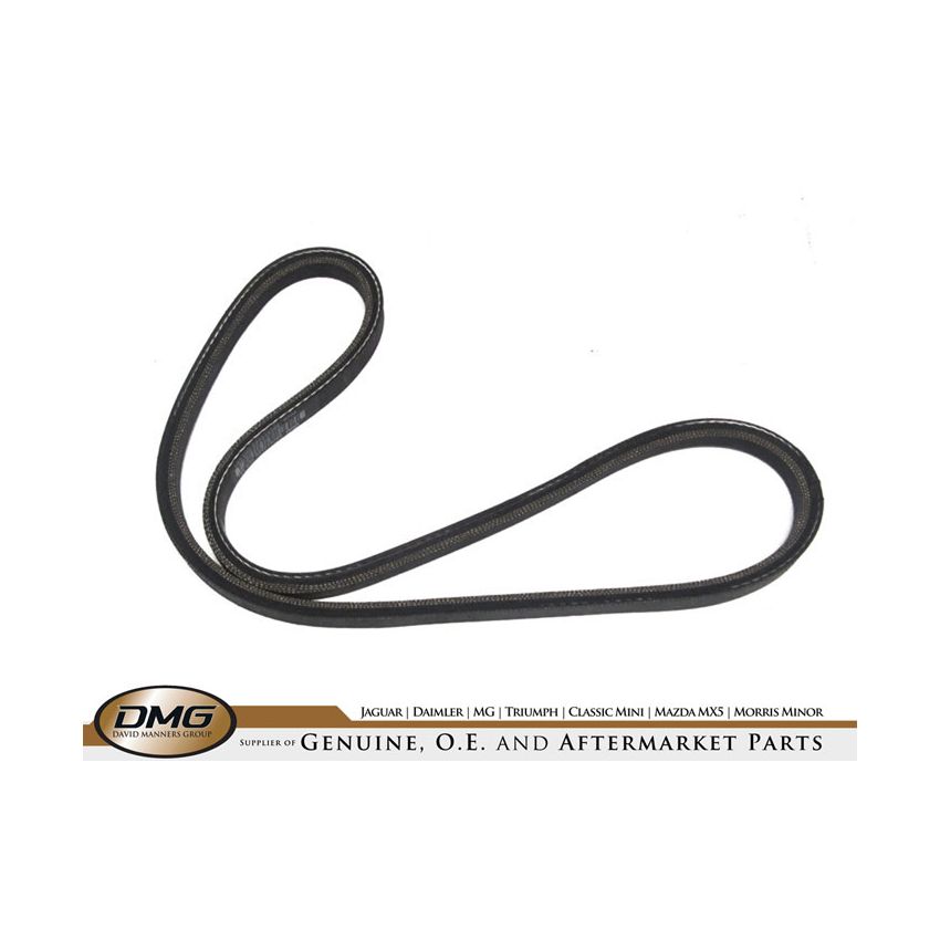 ALTERNATOR BELT:  XJ6, XJ12, XJS
