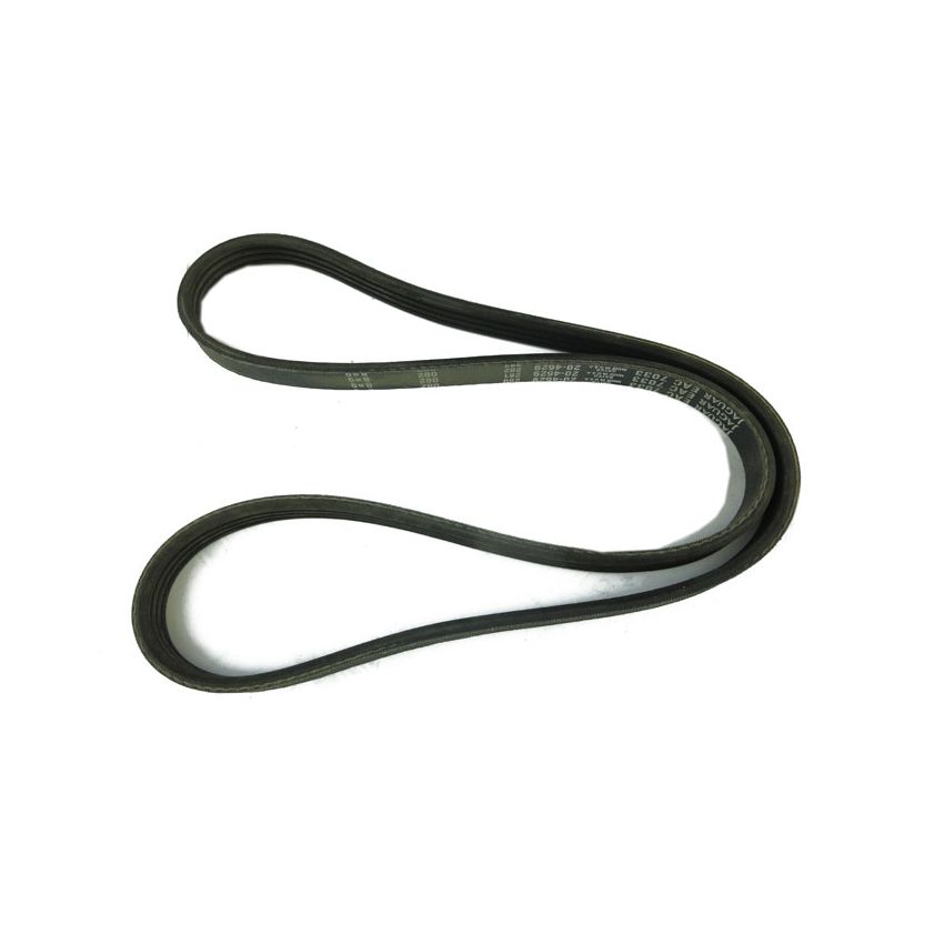 FAN BELT:  XJ40 ENG.101880 ON