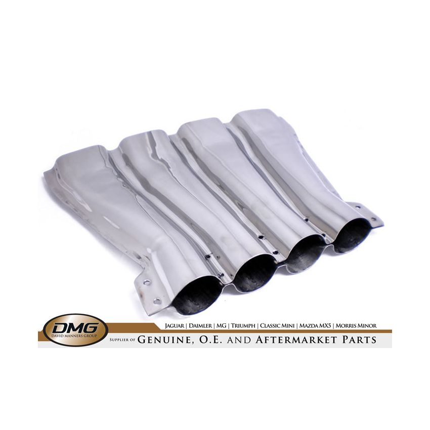 QUAD FANTAIL (S/STEEL):  E-TYPE V12 S3