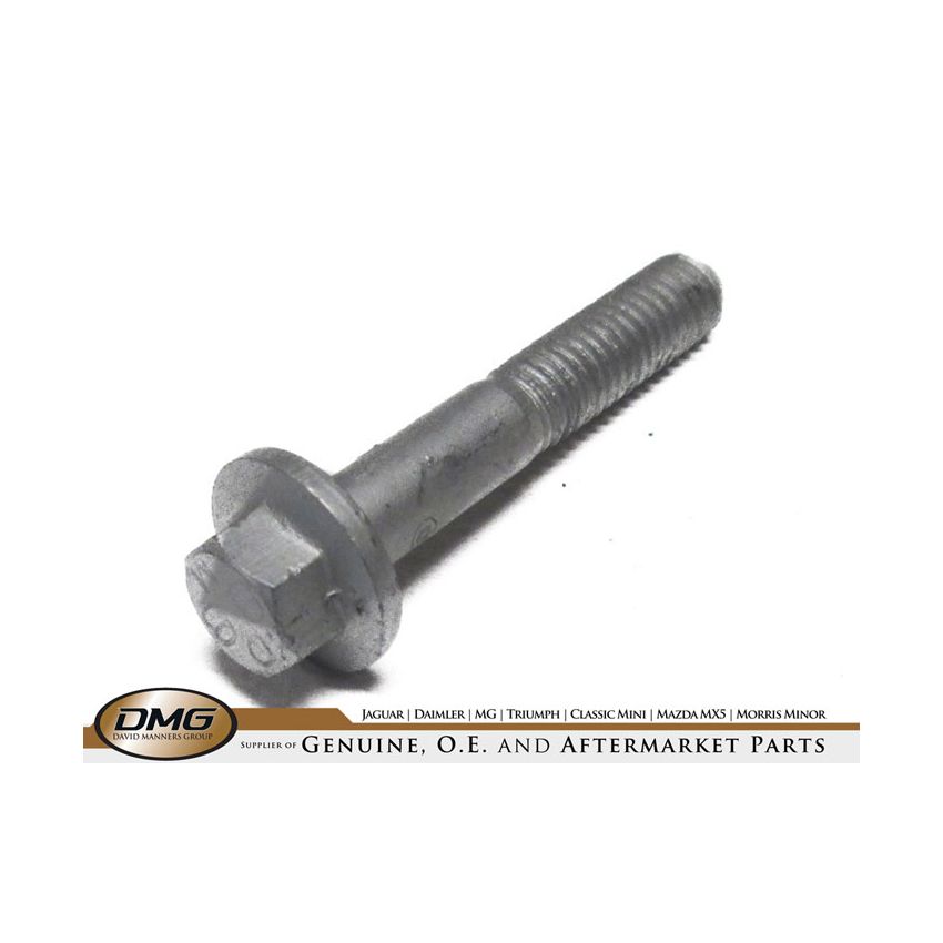 CHAIN TENSIONER BOLT:  VARIOUS