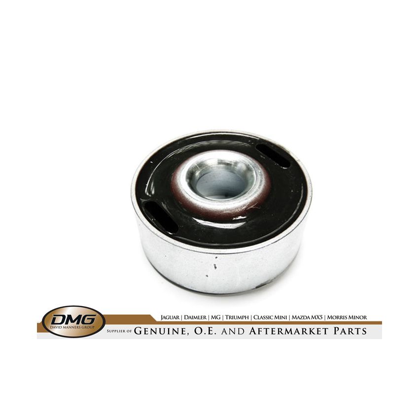 RADIUS ARM BUSH (LARGE):  ALL I.R.S.MODELS