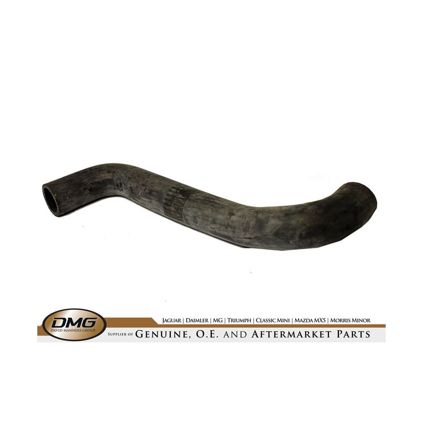 BOTTOM HOSE:  XJ8 1998 ON