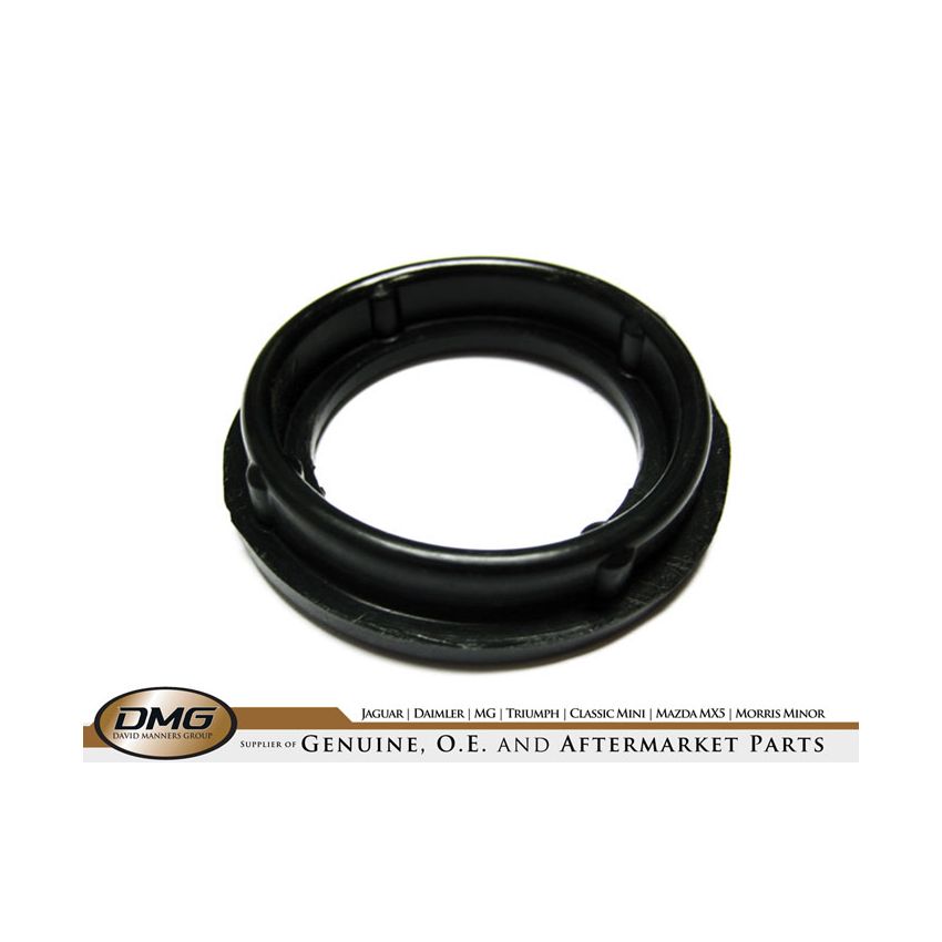 SPARK PLUG BOSS SEAL:  X300