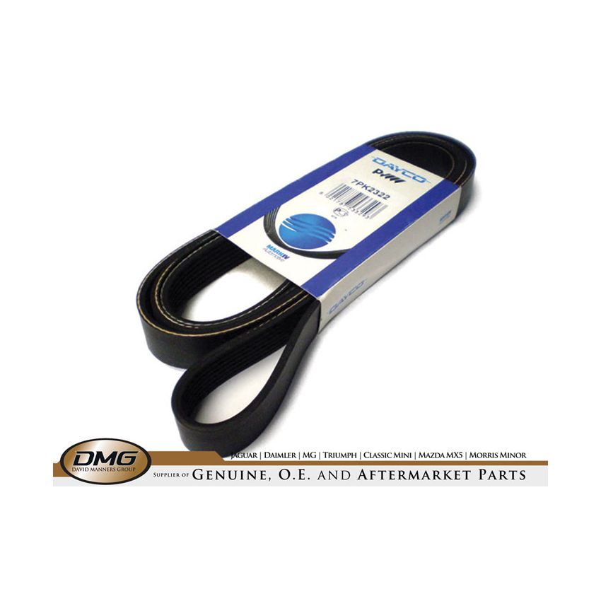 DRIVE BELT (DAYCO):  XJ8 NO S/C PLAS PULL